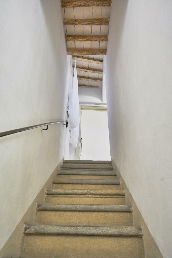 Casa Laurentius Pisa Dış mekan fotoğraf